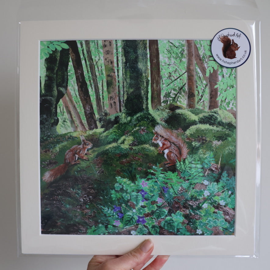 Wildlife Giclee Print – Red Squirrels Wildflowers 'Violet & Wood Sorrel'