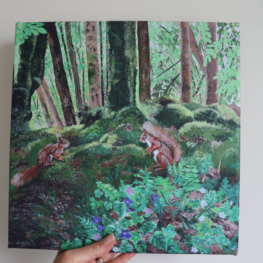 Violet and Wood Sorrel Red Squirrels Canvas Print