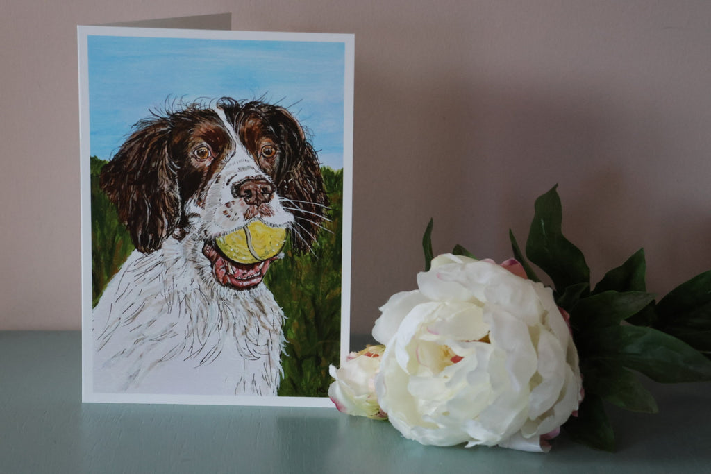 Pack of 5 Springer Spaniel Cards