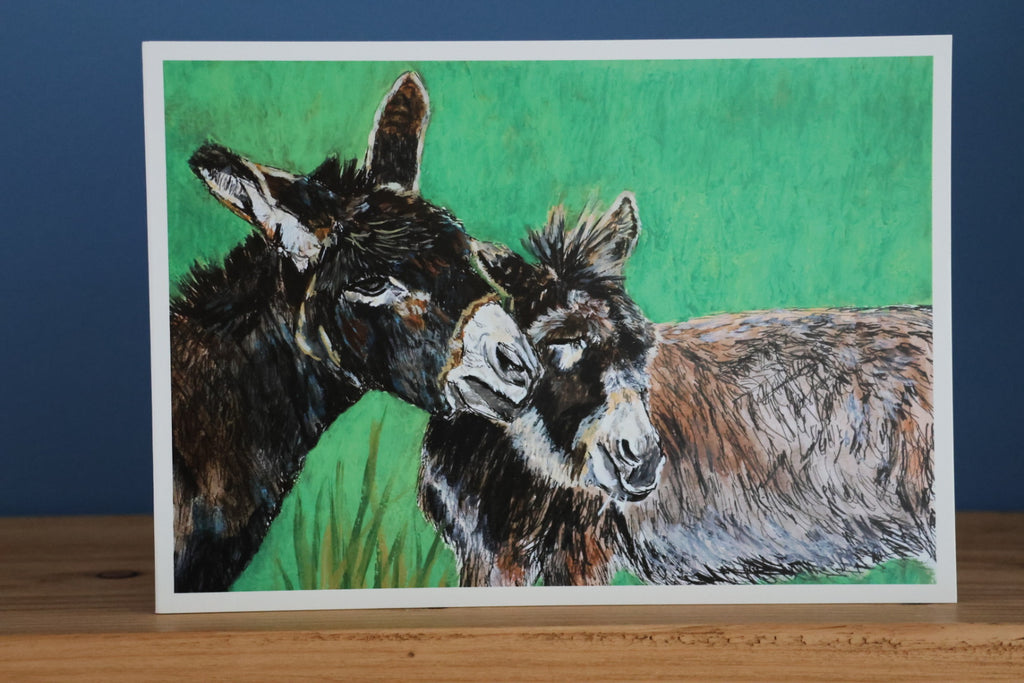 Pack of 5 Fermanagh Donkeys Cards