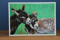 Pack of 5 Fermanagh Donkeys Cards
