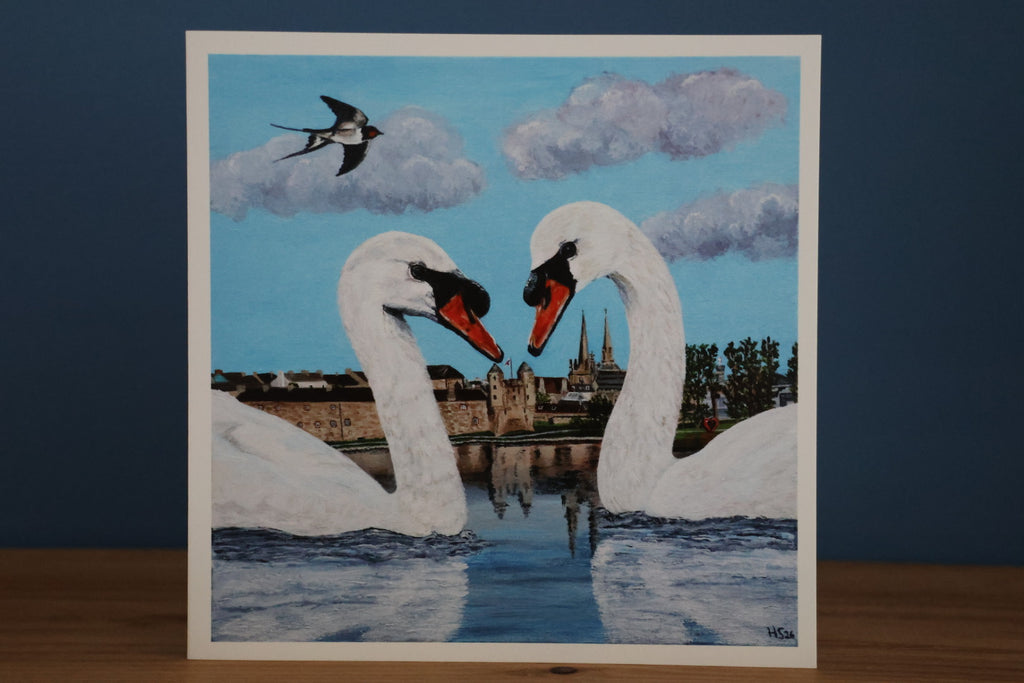 Pack of 5 Enniskillen Swan Love Cards
