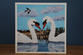 Pack of 5 Enniskillen Swan Love Cards
