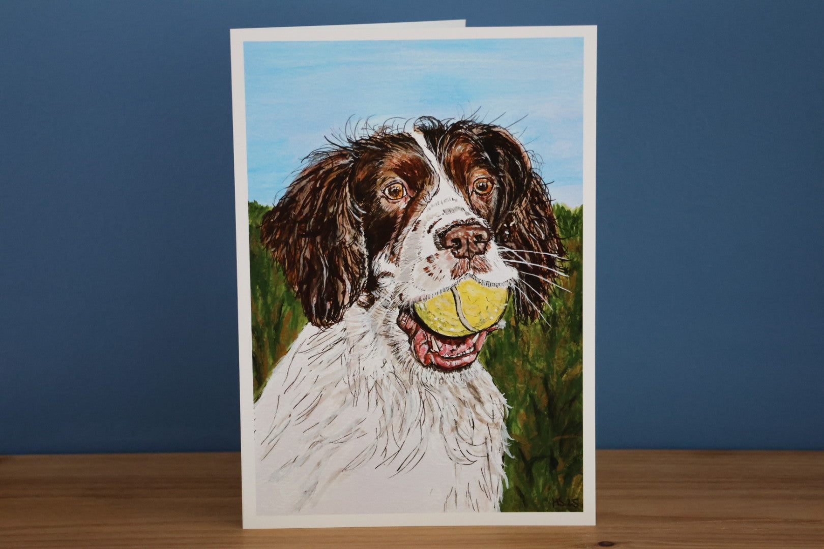 Pack of 5 Springer Spaniel Cards