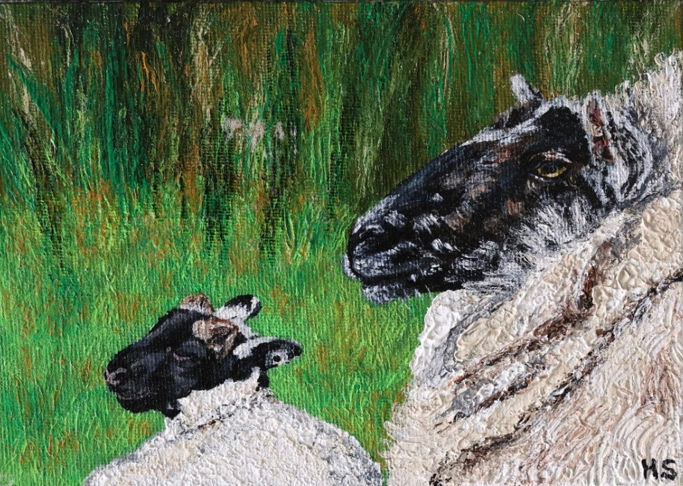 Original 7” x 5” Acrylic Painting “Fermanagh Ewe and Lamb”