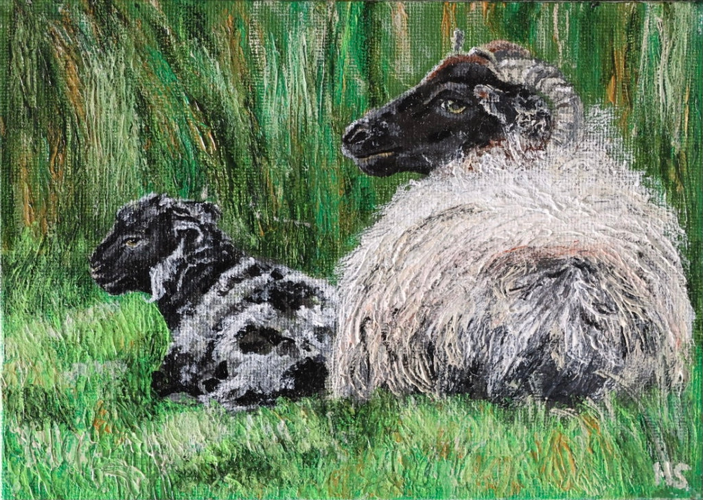 Original 7” x 5” acrylic painting “A Fermanagh lamb and Ewe”