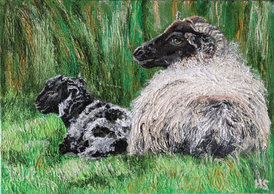 Original 7” x 5” acrylic painting “A Fermanagh lamb and Ewe”