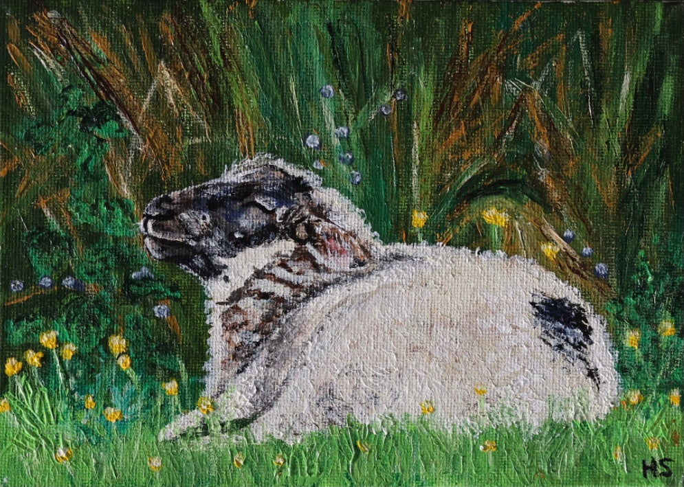 Original 7” x 5” Acrylic Painting “Fermanagh Lamb”