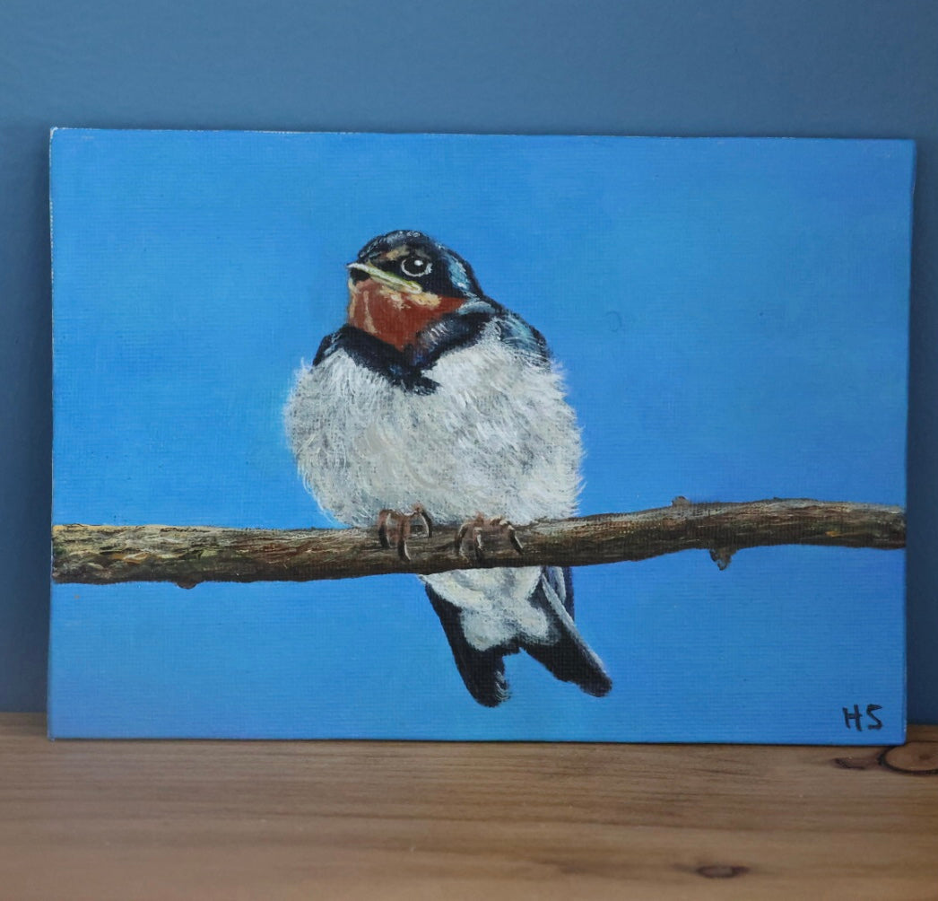 Original 7” x 5” acrylic painting “Fledgling Swallow”