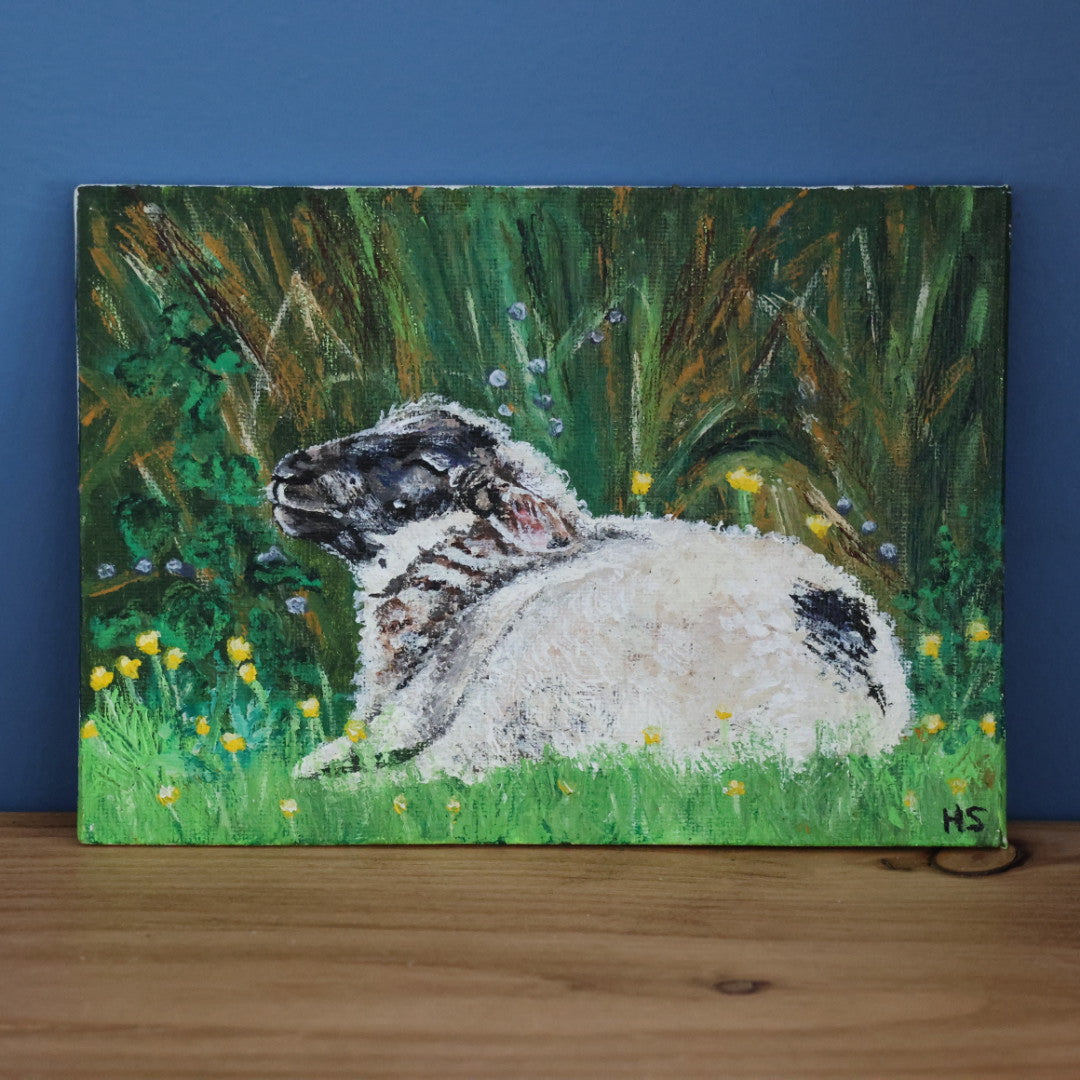 Original 7” x 5” Acrylic Painting “Fermanagh Lamb”
