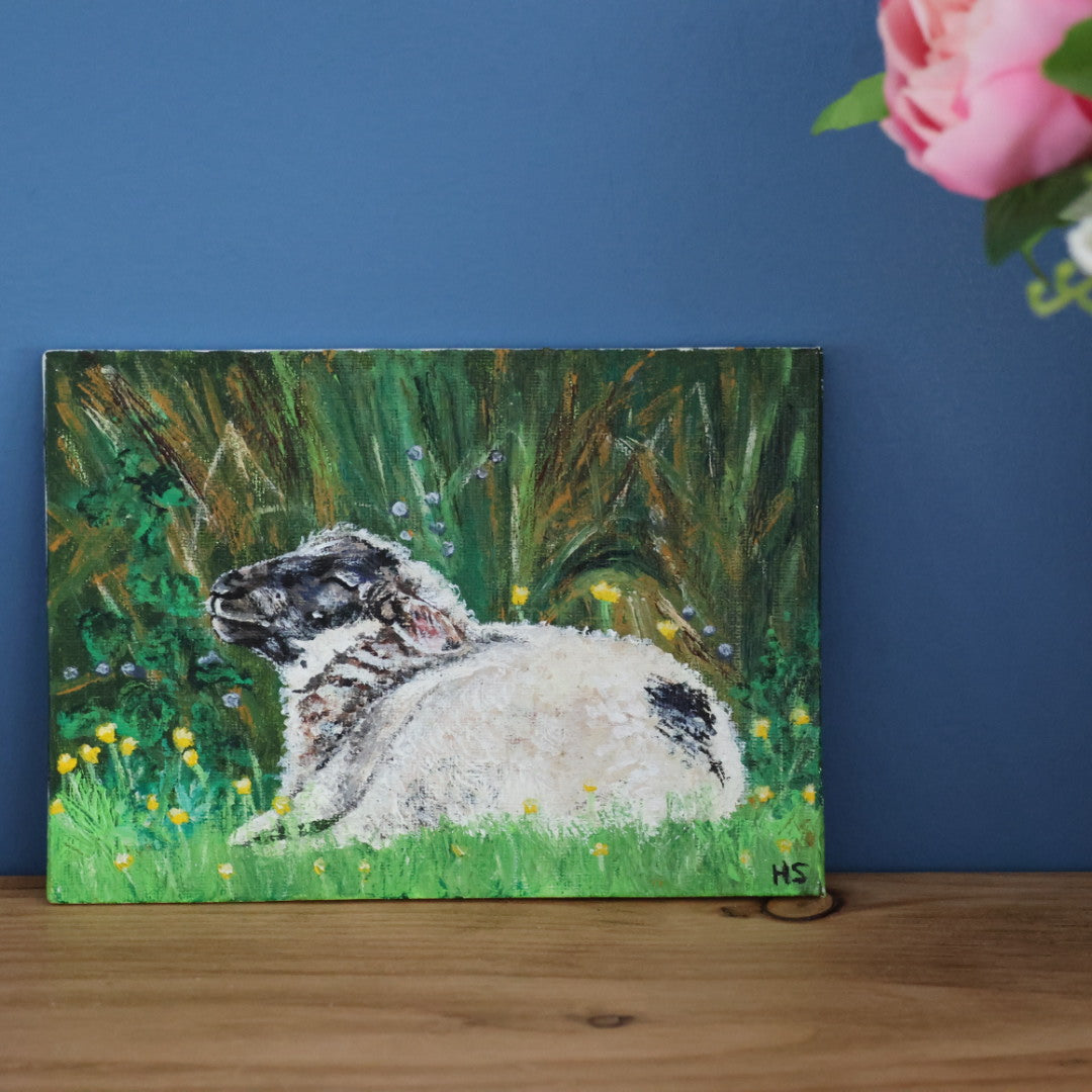 Original 7” x 5” Acrylic Painting “Fermanagh Lamb”
