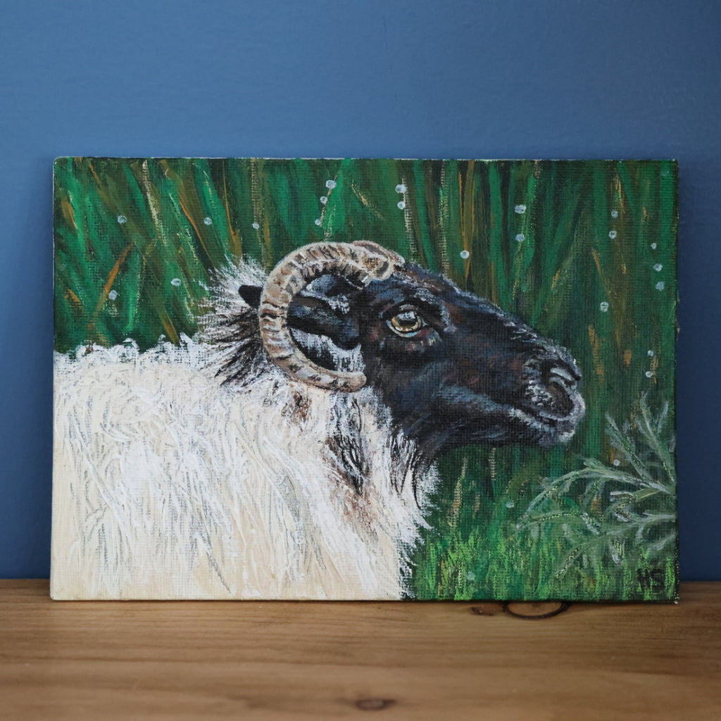 Original 7” x 5” Acrylic Painting “Fermanagh Ewe”