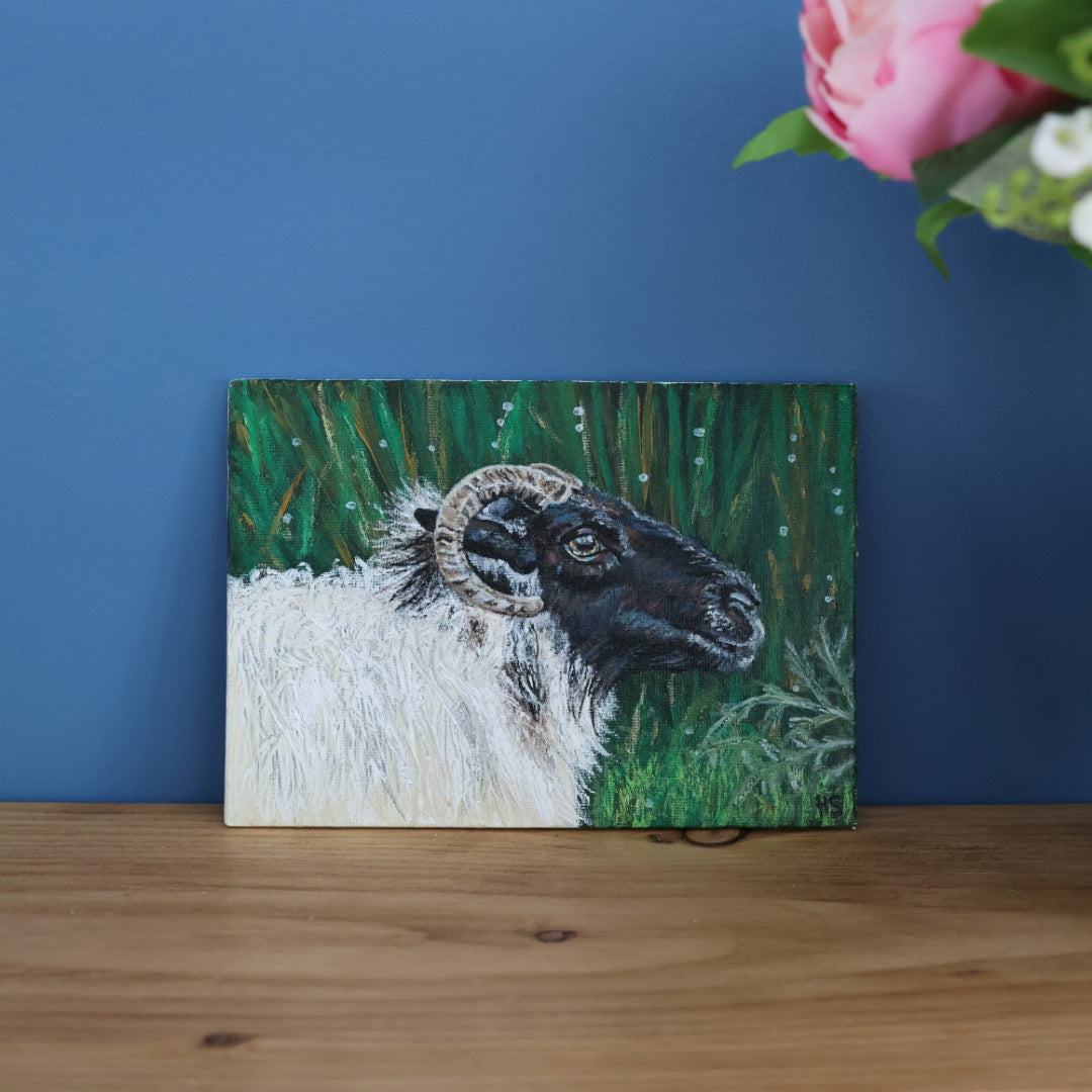 Original 7” x 5” Acrylic Painting “Fermanagh Ewe”