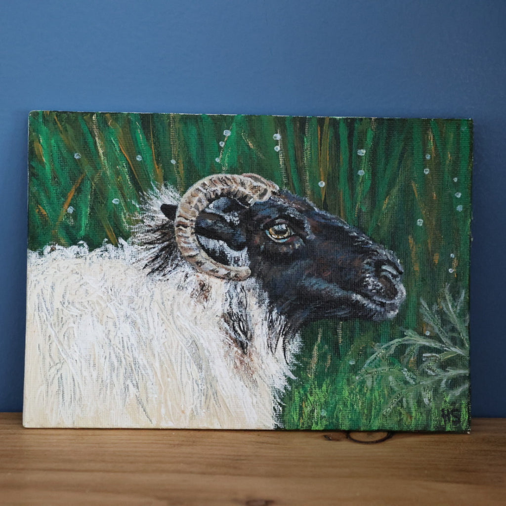 Original 7” x 5” Acrylic Painting “Fermanagh Ewe”