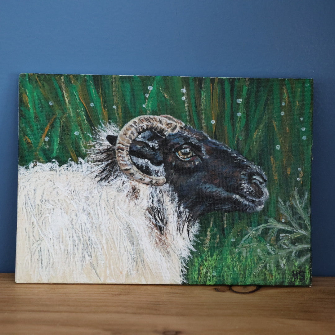 Original 7” x 5” Acrylic Painting “Fermanagh Ewe”