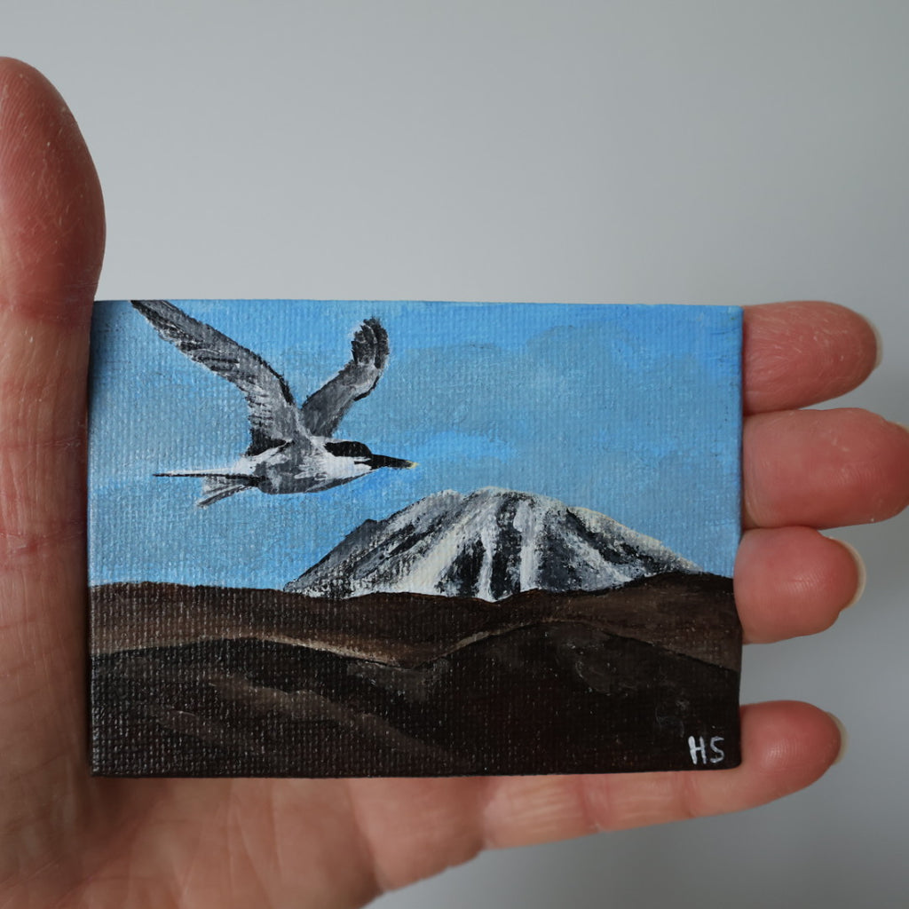 Original Mini Acrylic Painting ‘Sandwich Tern over Errigal’