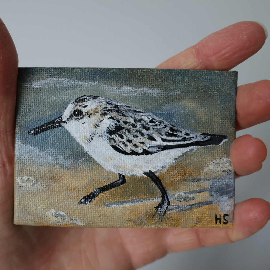 Original Mini Acrylic Painting ‘Sanderling’