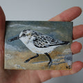 Original Mini Acrylic Painting ‘Sanderling’