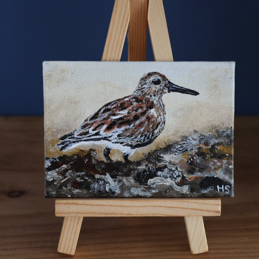 Original Mini Acrylic Painting ‘Dunlin’