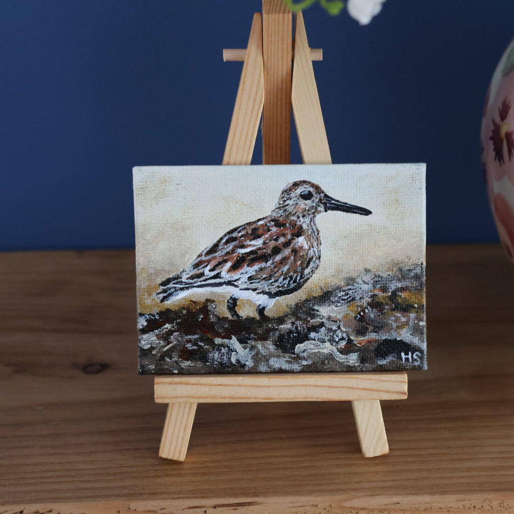 Original Mini Acrylic Painting ‘Dunlin’