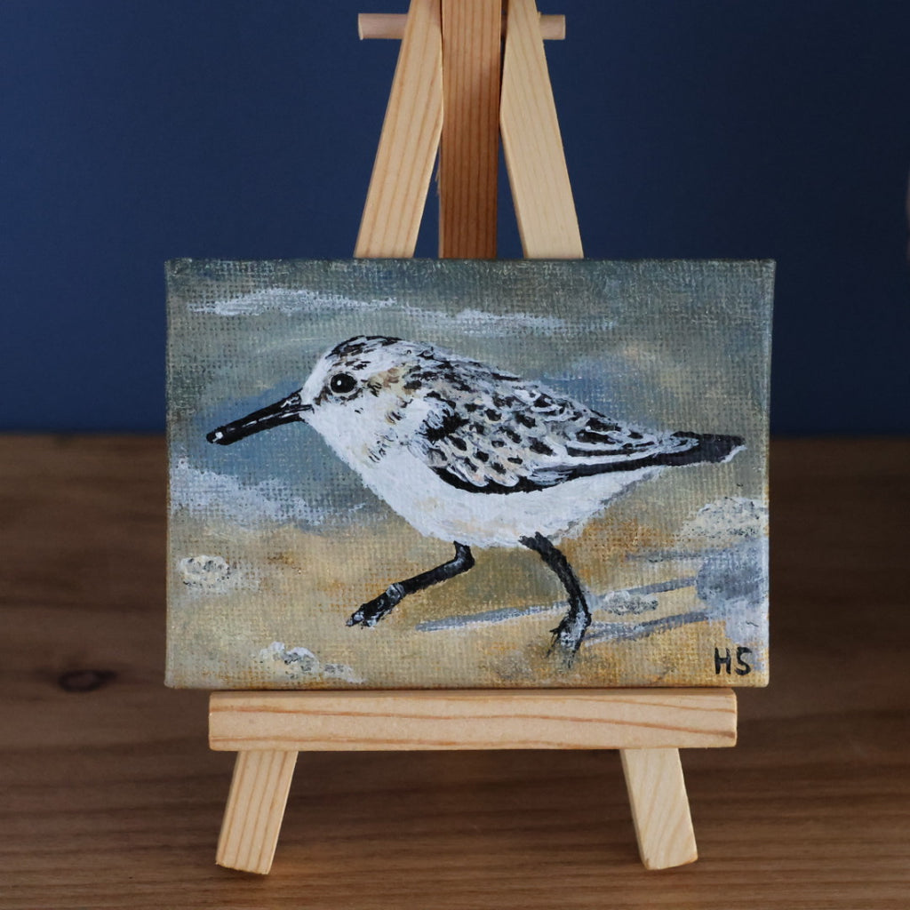 Original Mini Acrylic Painting ‘Sanderling’