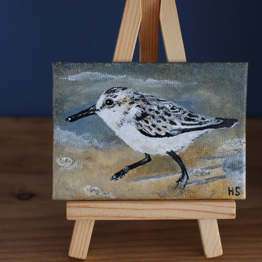 Original Mini Acrylic Painting ‘Sanderling’