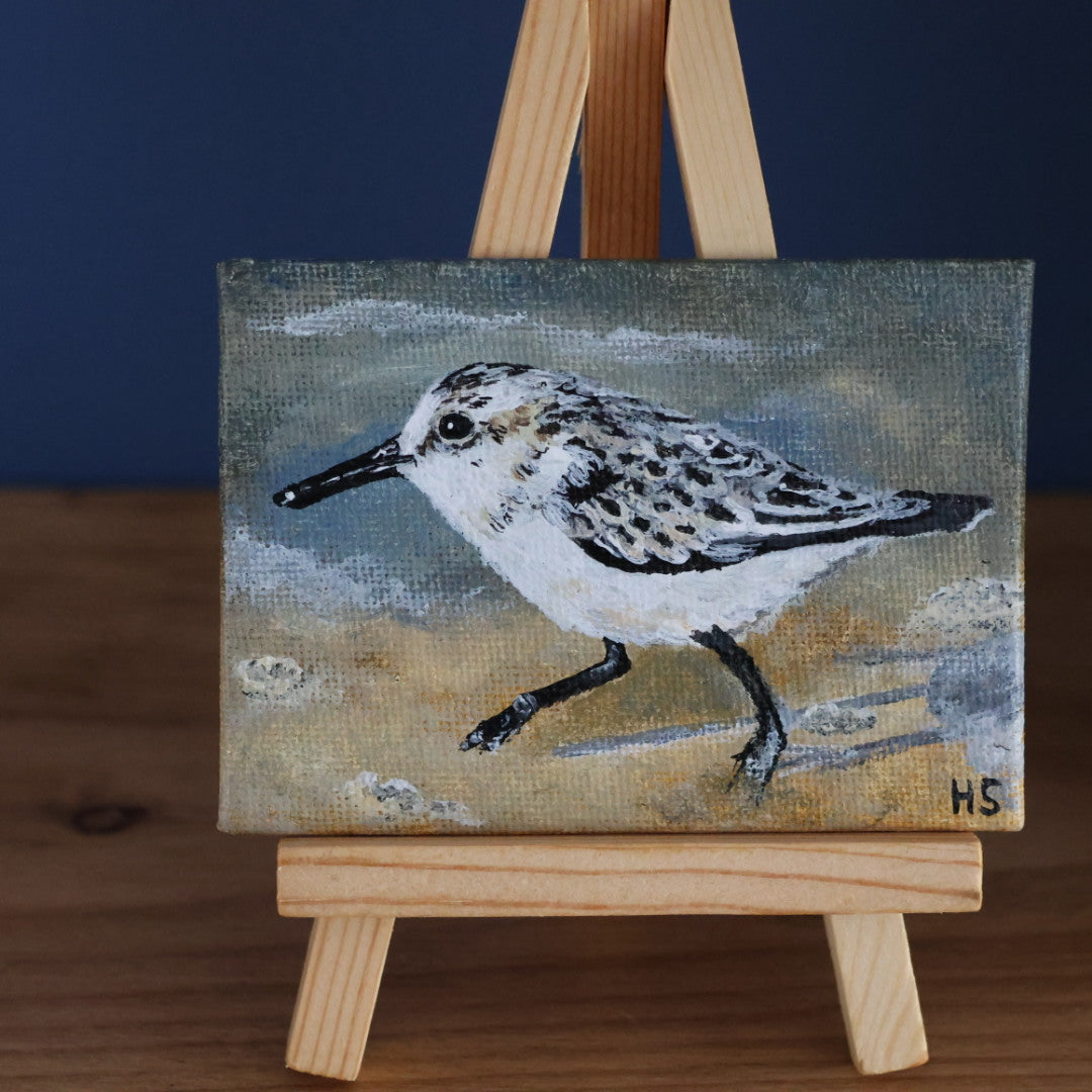Original Mini Acrylic Painting ‘Sanderling’