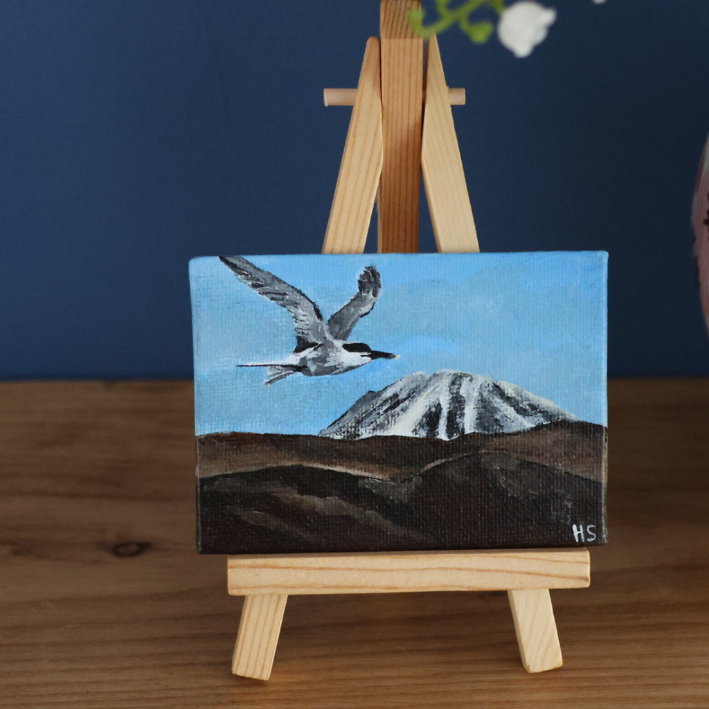 Original Mini Acrylic Painting ‘Sandwich Tern over Errigal’