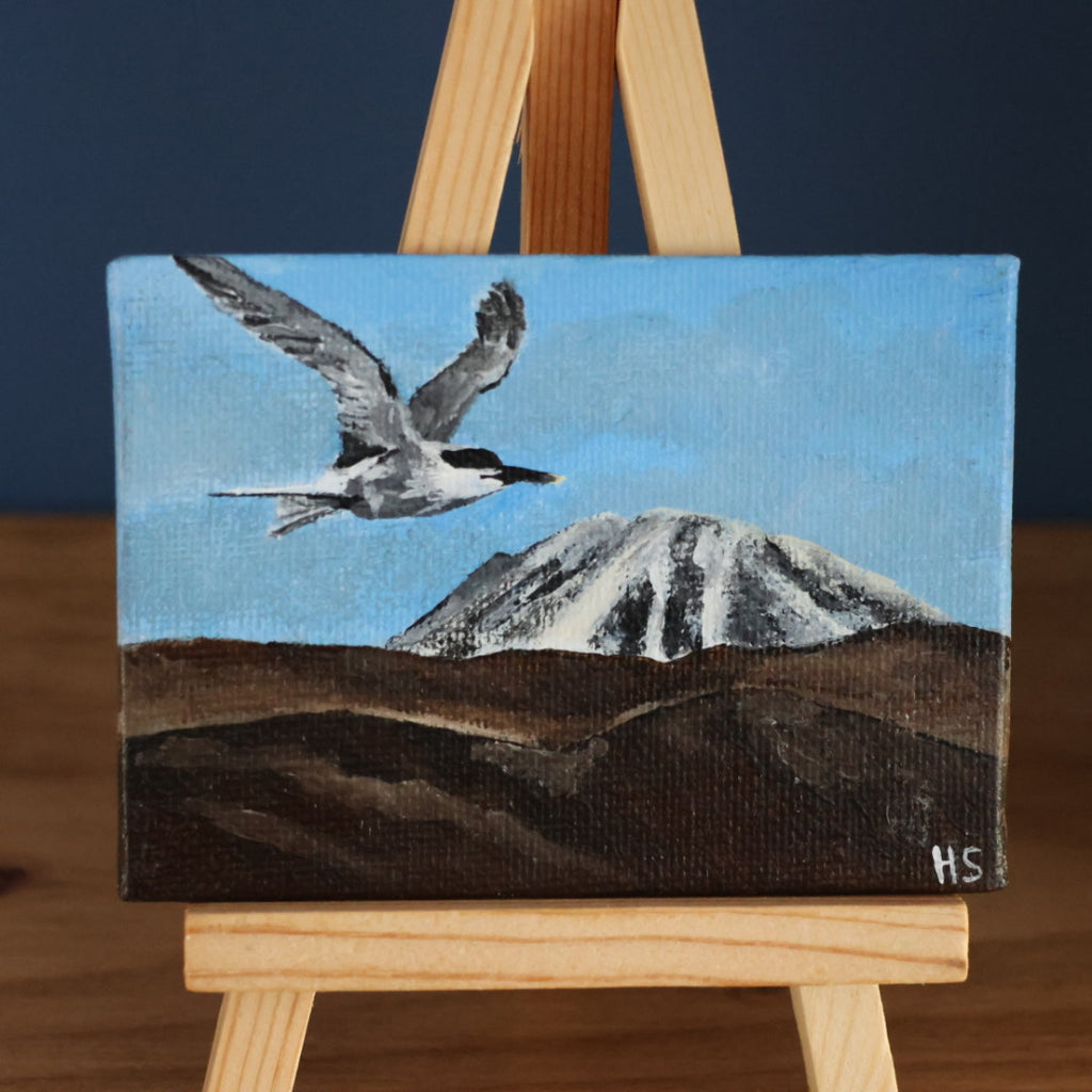 Original Mini Acrylic Painting ‘Sandwich Tern over Errigal’