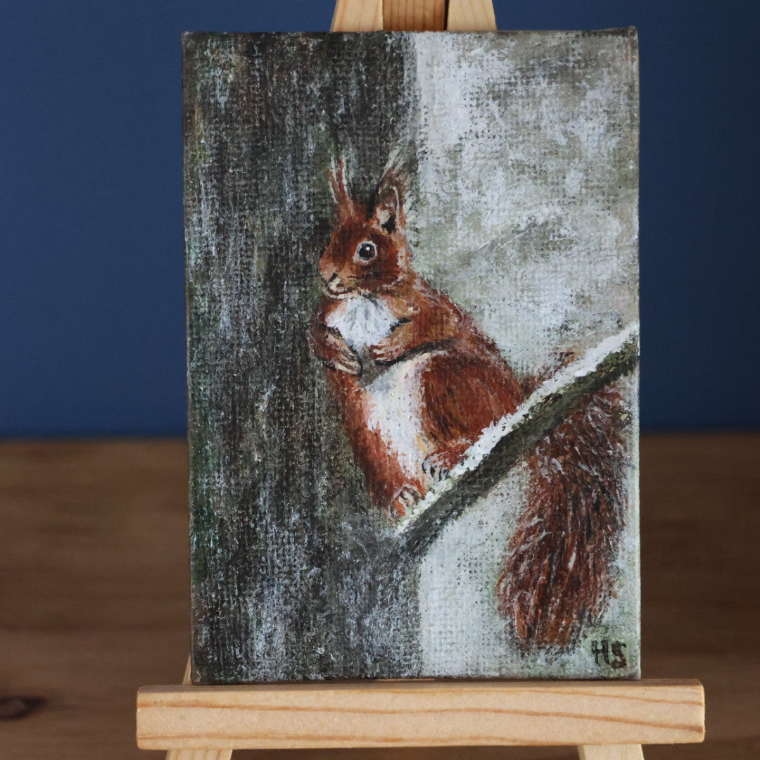 Original Mini Acrylic Painting ‘Red Squirrel Portrait’