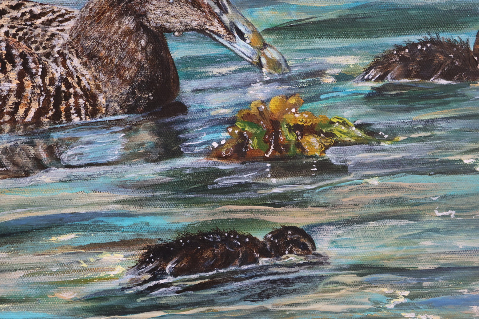 Original Acrylic Painting ‘Rathlin Eiders’