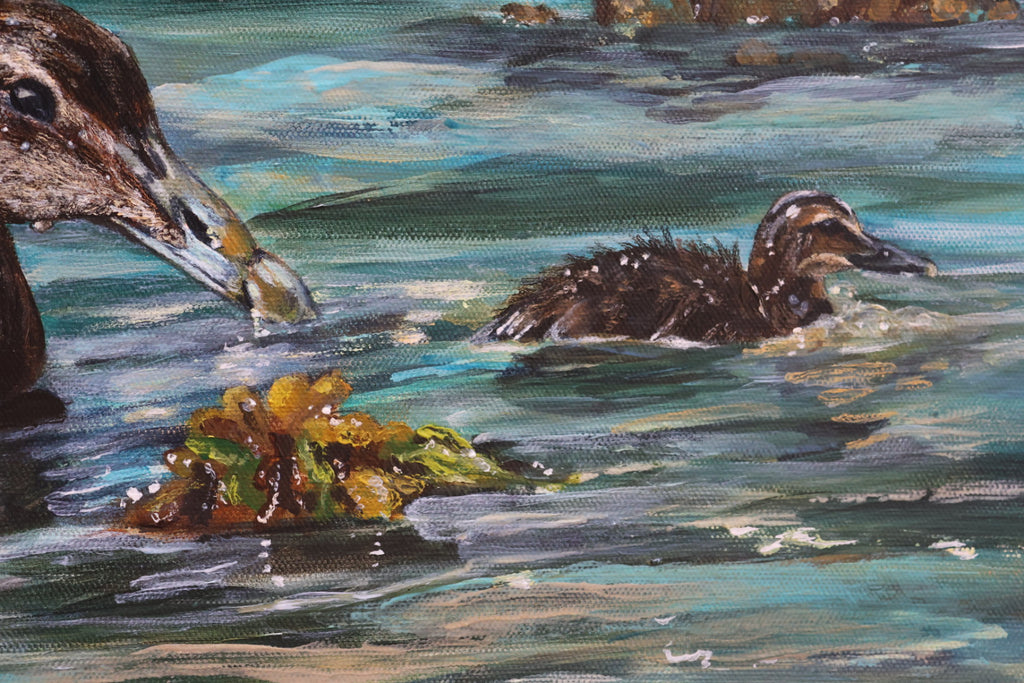 Original Acrylic Painting ‘Rathlin Eiders’