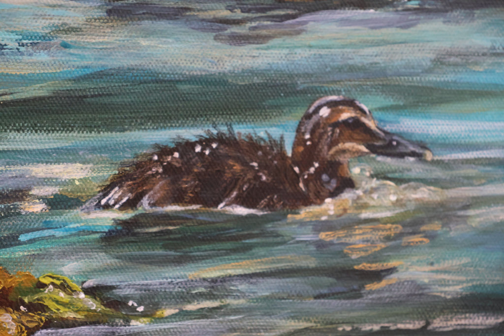 Original Acrylic Painting ‘Rathlin Eiders’