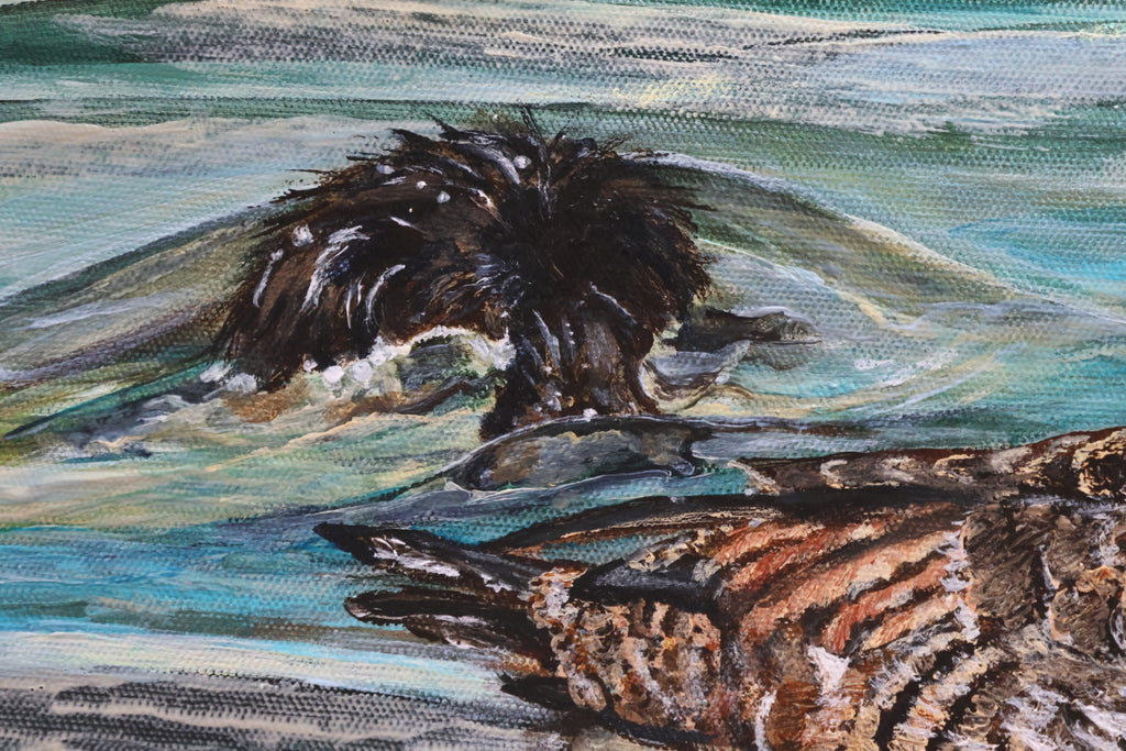 Original Acrylic Painting ‘Rathlin Eiders’