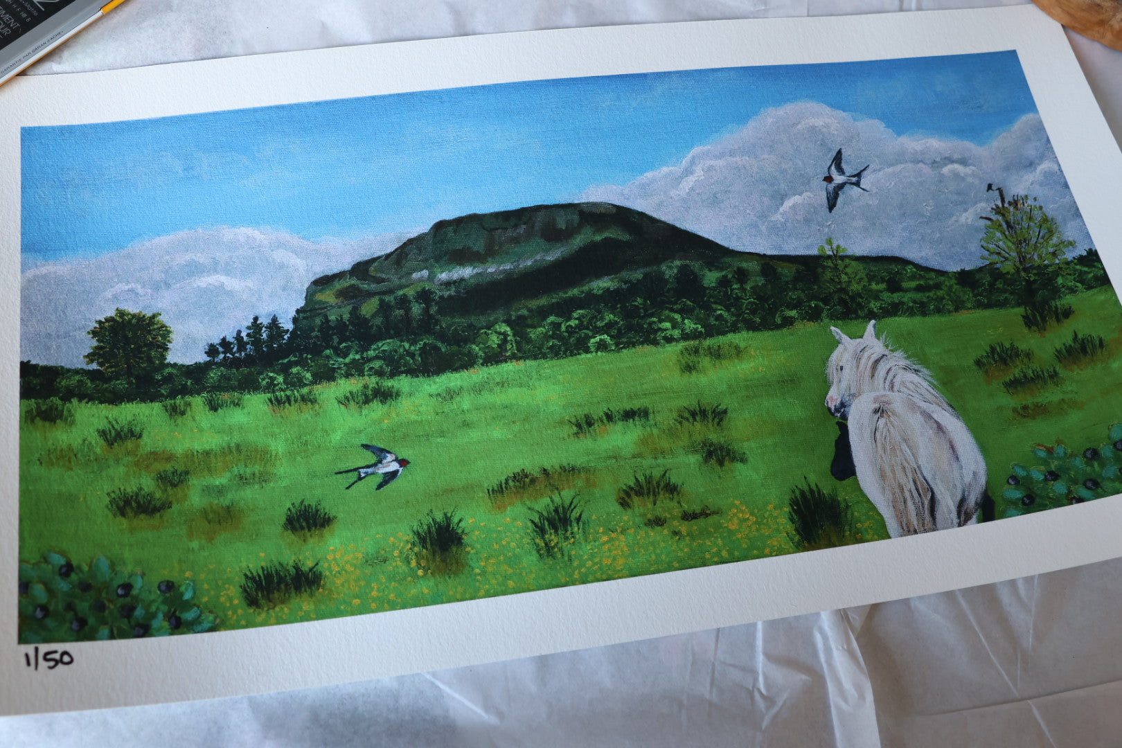 Limited Edition Giclee Print ‘Bilberry Sunday’
