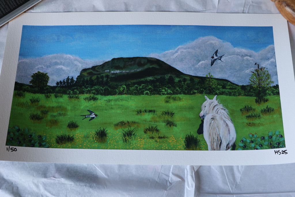 Limited Edition Giclee Print ‘Bilberry Sunday’