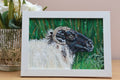 Original 7” x 5” Acrylic Painting “Fermanagh Ewe”