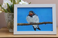 Original 7” x 5” acrylic painting “Fledgling Swallow”
