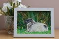 Original 7” x 5” Acrylic Painting “Fermanagh Lamb”