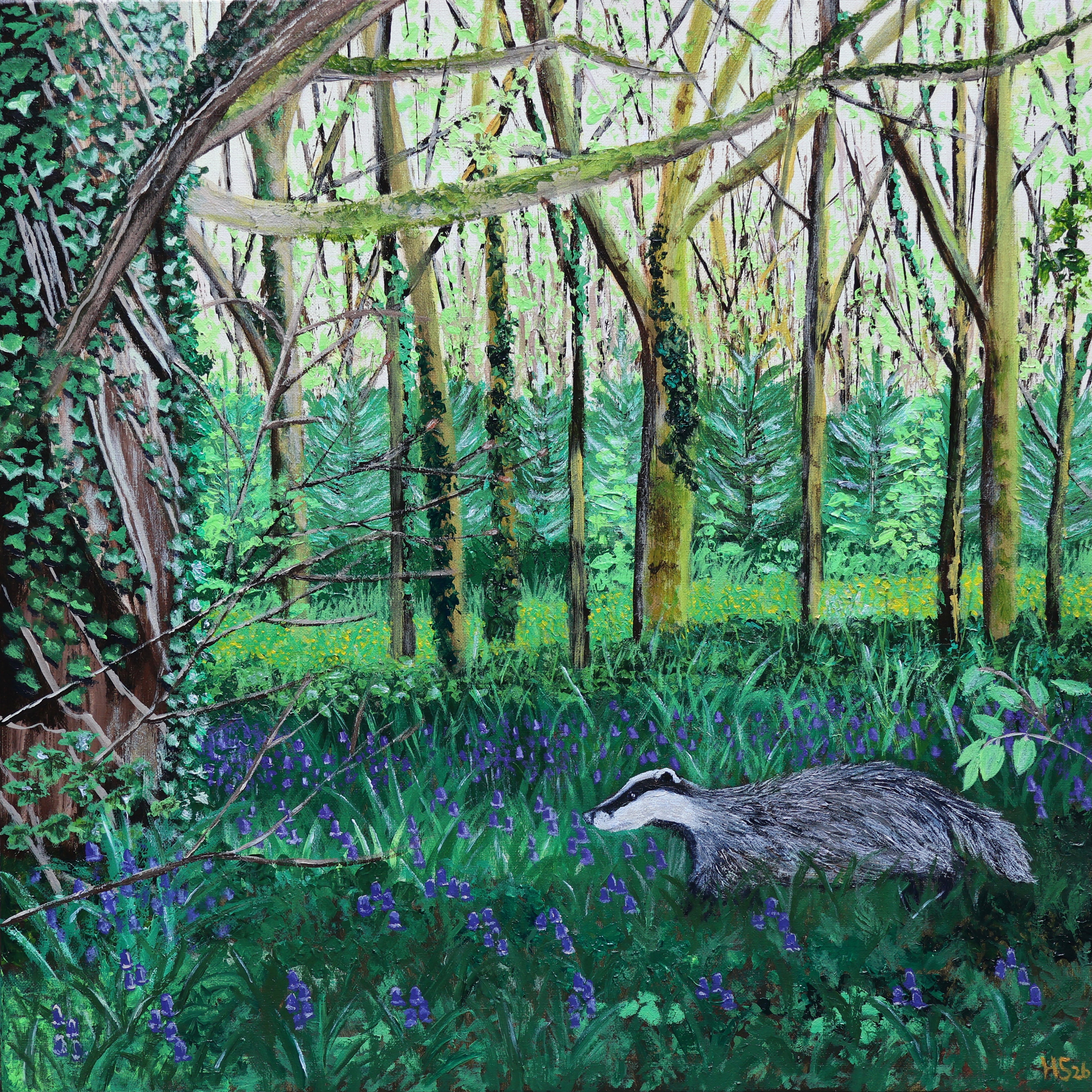 ‘Bluebell Badger’ Giclee Print