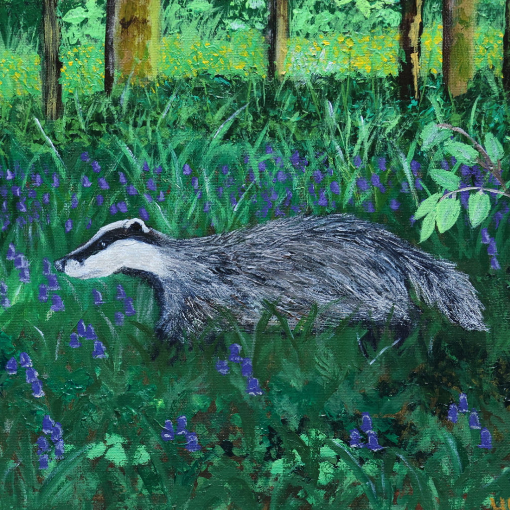 ‘Bluebell Badger’ Giclee Print