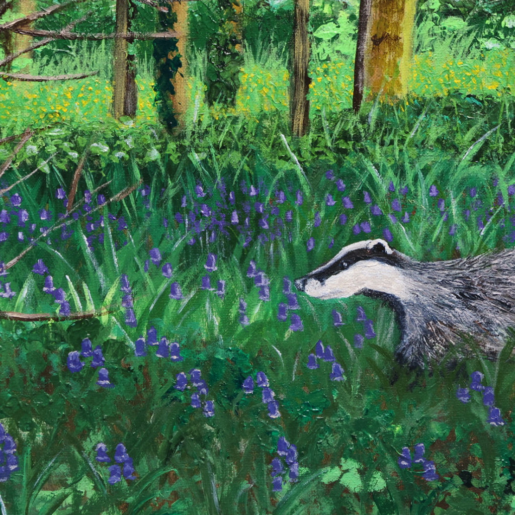 ‘Bluebell Badger’ Giclee Print