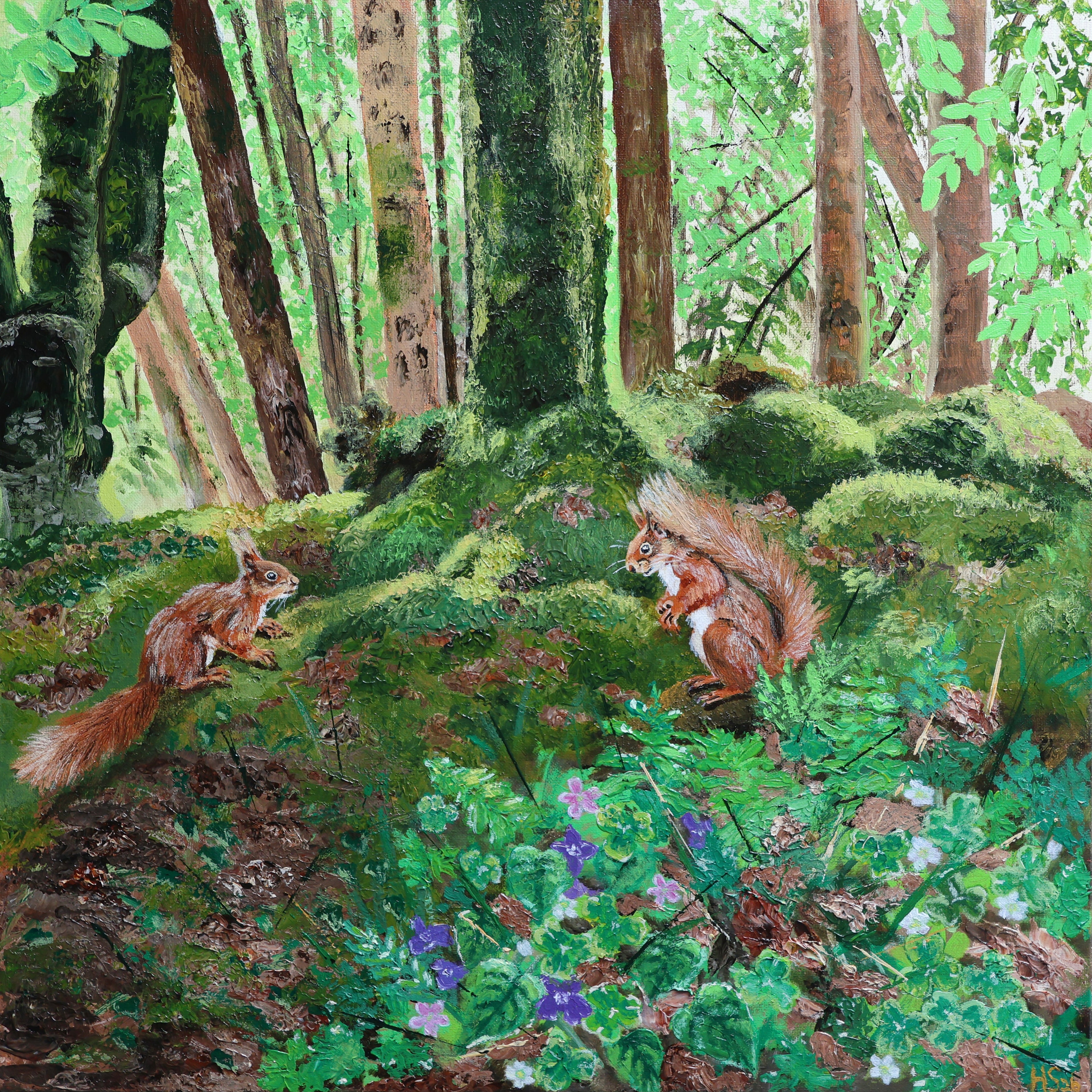 Violet and Wood Sorrel Red Squirrels Print