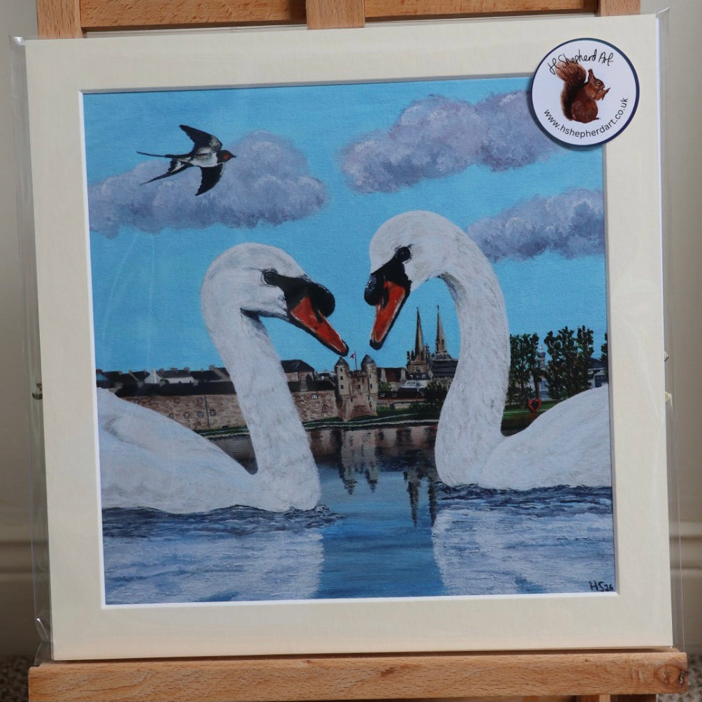 Enniskillen 'Swan Love' Giclee print