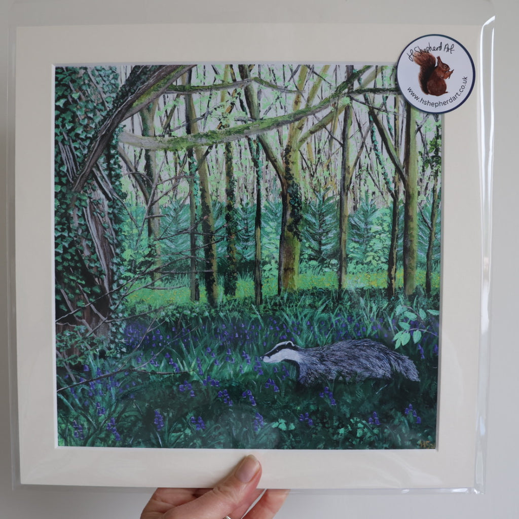 ‘Bluebell Badger’ Giclee Print