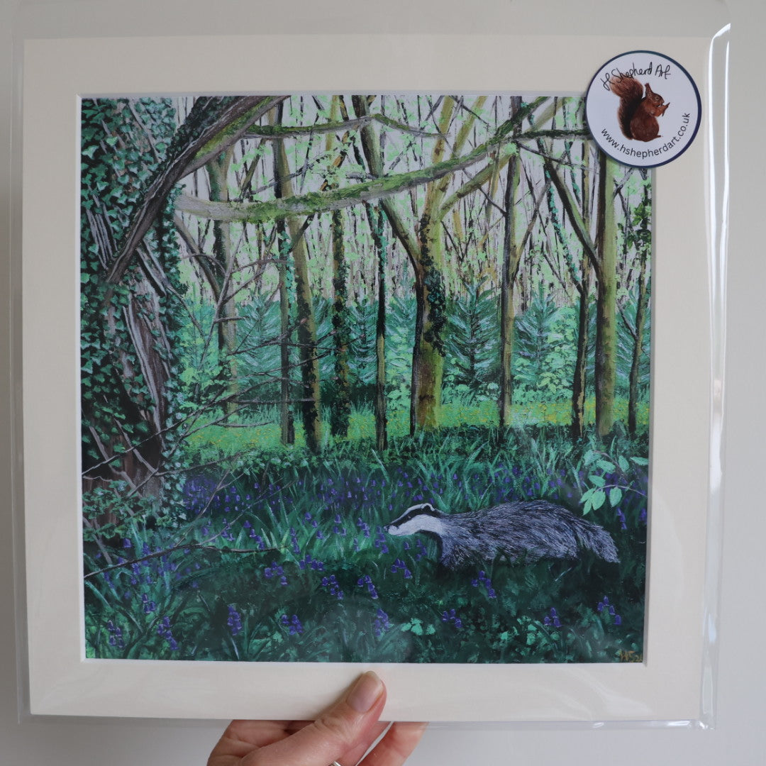‘Bluebell Badger’ Giclee Print