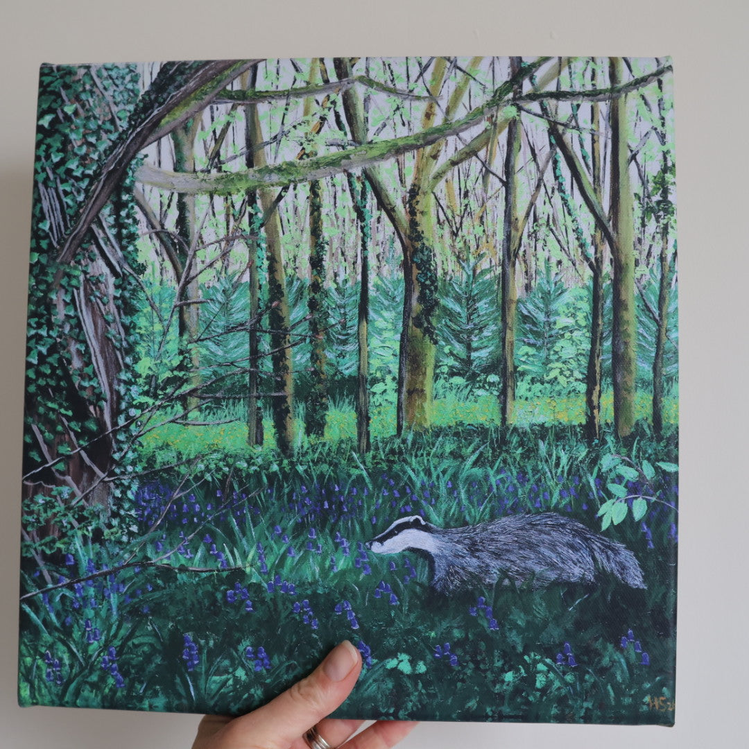 ‘Bluebell Badger’ Canvas Print
