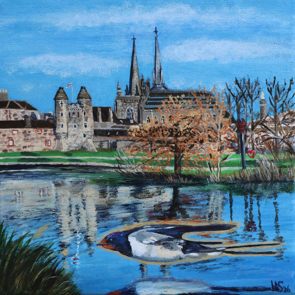 Enniskillen Lough Erne Swallow Hand Embellished Canvas Print