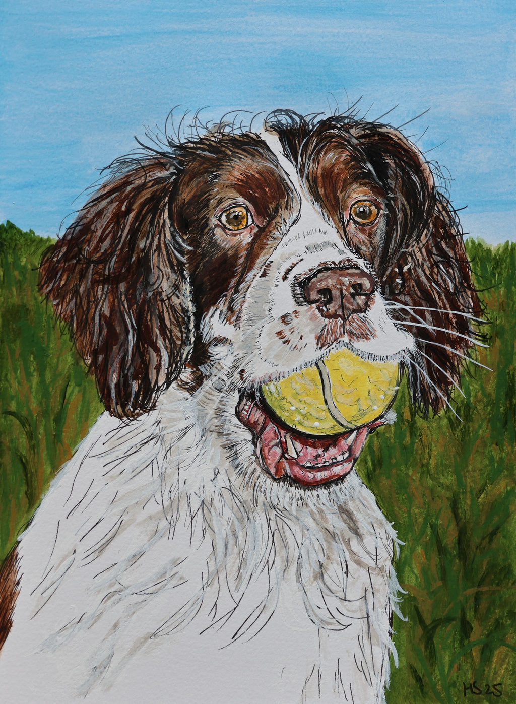 Pack of 5 Springer Spaniel Cards