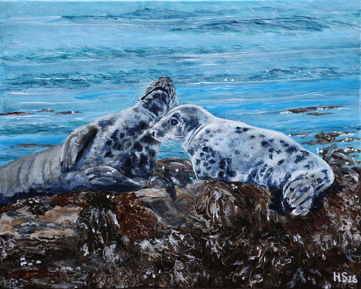 Original Irish Wildlife Acrylic Painting – Rathlin Island Grey Seals